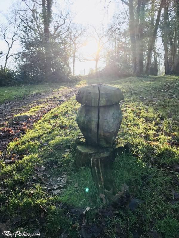 Photo Le Parc de la Barbinière : Que faire d’une souche d’arbre après l’avoir abattu? Et bien pourquoi pas en faire un Gland? 😉😍c, Parc de la Barbinière, St-Laurent-sur-Sèvre, sculpture