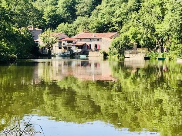 Photo La Sèvre Nantaise : Joli petit hameau de maisons en bord de Sèvre 😍 Par contre, pour ceux qui y habitent, faut pas avoir peur de se réveiller les pieds dans l’eau 😅c, Sèvre Nantaise, Parc de la Barbinière