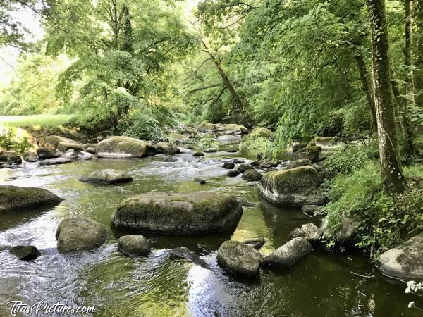 Photo La Sèvre Nantaise : Ambiance très relaxante sur la Sèvre Nantaise à Saint Laurent sur Sèvre. Le niveau de l’eau était déjà bien bas pour un mois de Mai 😬😅c, La Sèvre Nantaise, Saint Laurent sur Sèvre, le Parc de la Barbinière