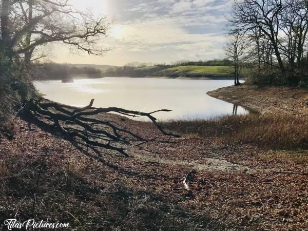 Photo Lac de la Vouraie : Belle randonnée ensoleillée au Lac de la Vouraie, à Saint-Hilaire-le-Vouhis. Pour un début Janvier, le niveau d’eau est encore bien bas je trouve 😥
Mais une semaine plus tard seulement, la souche morte était à moitié recouverte d’eau 😅🥳c, Lac de la Vouraie, Saint-Hilaire-le-Vouhis