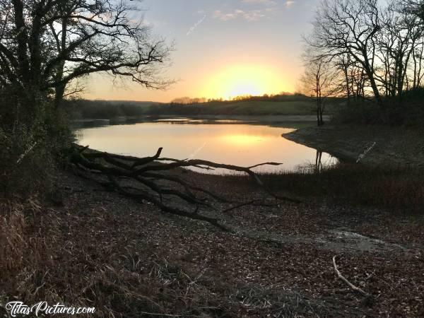 Photo Lac de la Vouraie : Coucher de soleil au Lac de la Vouraie. 
Une semaine seulement après cette photo, l’eau arrivait au pied de la photo. Impressionnant 😅c, Lac de la Vouraie, Saint-Hilaire-le-Vouhis, Arbre mort