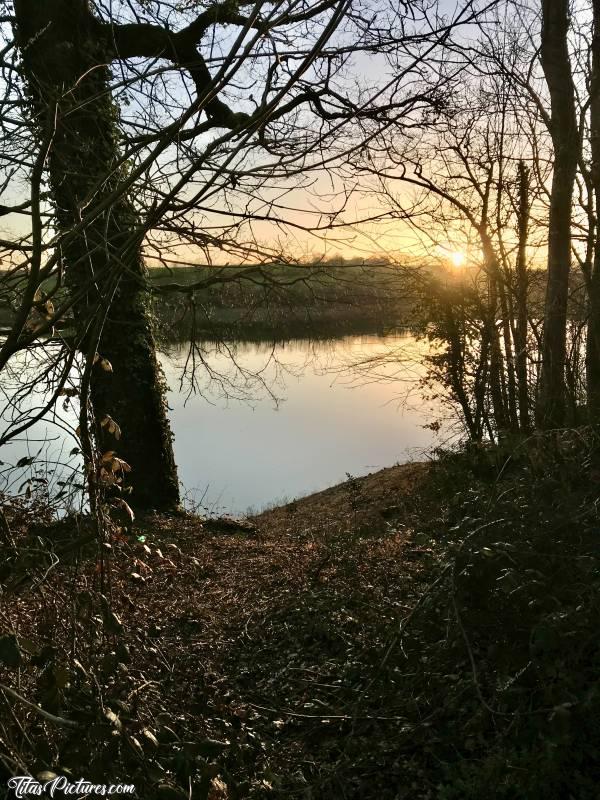 Photo Lac de la Vouraie : Joli Coucher de Soleil au Lac de la Vouraie. En Hiver, la vue est bien dégagée au travers des arbres qui ont perdu leur feuille 👍🏻😍c, Lac de la Vouraie, Saint-Hilaire-le-Vouhis