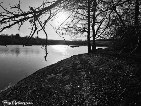 Photo Lac de la Vouraie : Belle randonnée ensoleillée au Lac de la Vouraie, à Saint-Hilaire-le-Vouhis. Pour un début Janvier, le niveau d’eau est encore bien bas je trouve 😥
Avantage : j’ai pû sortir du sentier et marcher au bord de l’eau 🤗😍c, Lac de la Vouraie, Saint-Hilaire-le-Vouhis, Vendée, Noir et Blanc