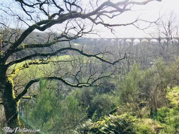 Photo Le Parc de la Barbinière : Belle randonnée ensoleillée au Parc de la Barbinière 😍😎 Dans peu de temps, les feuilles couvriront toute cette végétation, et ne pourra plus rien voir au travers 🤗😍c, Parc de la Barbinière, Chêne, viaduc