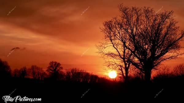 Photo Coucher de soleil : Coucher de Soleil ambiance Savane africaine ce soir-là 😍😎 Mais non, j’ai pris cette photo dans la campagne vendéenne 😅😎c, Coucher de soleil, arbres