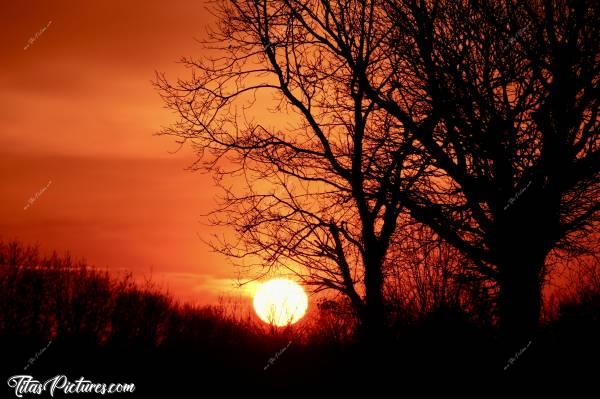 Photo Coucher de soleil : Coucher de soleil flamboyant sur la campagne vendéenne 👍🏻😍🥰c, Coucher de soleil, Campagne