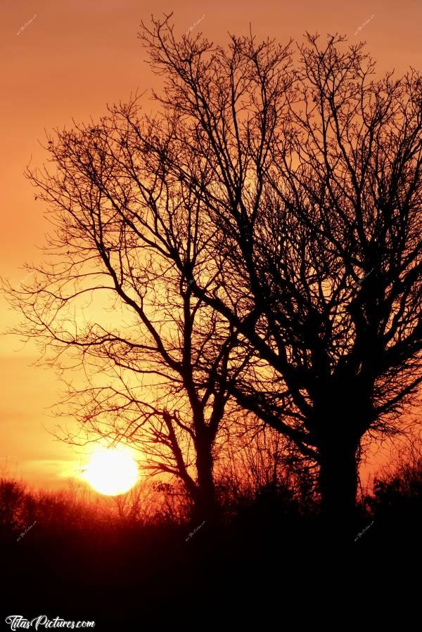 Photo Coucher de Soleil : Belle randonnée de fin de journée, dans la campagne du Boupère. A moins que j’étais en Afrique…🧐😅😎c, Coucher de Soleil