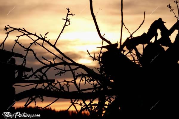 Photo Coucher de soleil : Jeu d’Ombres Chinoises sur un tas de branchages, avec un ciel flamboyant en arrière plan 😍🥰 Ça donne un effet un peu flippant je trouve.. 😅😍c, Coucher de soleil, branches, bois