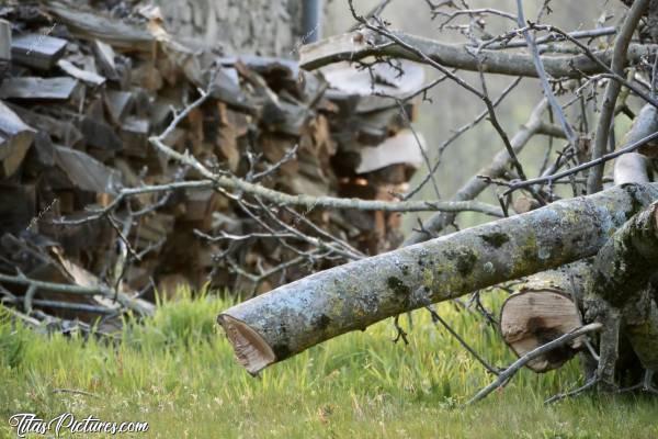 Photo Tas de Bois 🪵 : Pourquoi cette photo ? 🤔 Je ne sais pas.. Le contraste des couleurs du bois avec le vert de l’herbe, me plaisait bien 😅🥰c, Tas de Bois, bûches