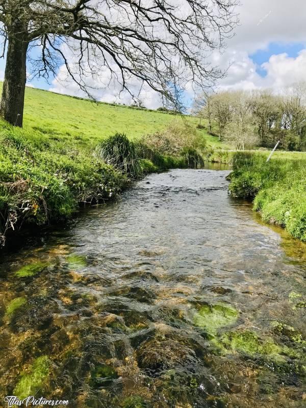 Photo Rivière le Guillec : Le Guillec, la « grande rivière » de mon enfance 😍 Elle est pourtant pas bien grande par rapport à d’autres 😅 
A cet endroit de la photo, juste en dessous du Chêne, là où on voit une démarcation dans l’eau, j’ai souvent fait un barrage de pierres avec mon petit frère. Le but du jeu était de faire monter l’eau afin de pouvoir s’y baigner l’été. Car bien que ce soit le Finistère, il peut faire très chaud l’été dans cette prairie 🥵😅c, Rivière le Guillec, Plougar