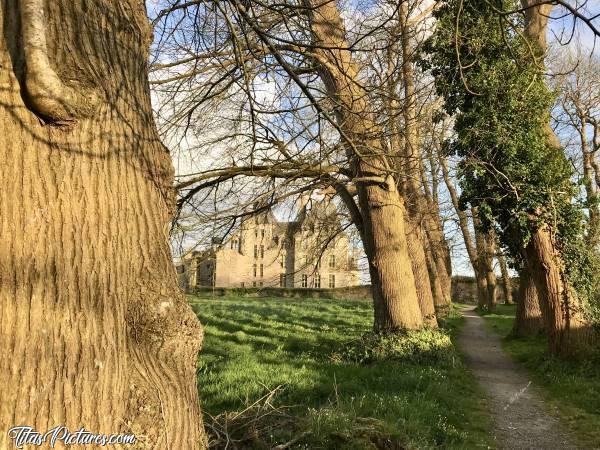 Photo Le Château de Kerjean : La façade arrière du Château de Kerjean se dévoile au travers des arbres du parc … 😍
Si l’on se retourne, ce chemin mène à la fontaine..c, Château de Kerjean, Saint-Vougay, vieux arbres