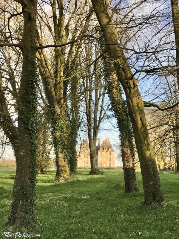 Photo Le Château de Kerjean : La façade arrière du Château de Kerjean se dévoile au travers des vieux arbres du parc … 😍c, Château de Kerjean, Saint-Vougay