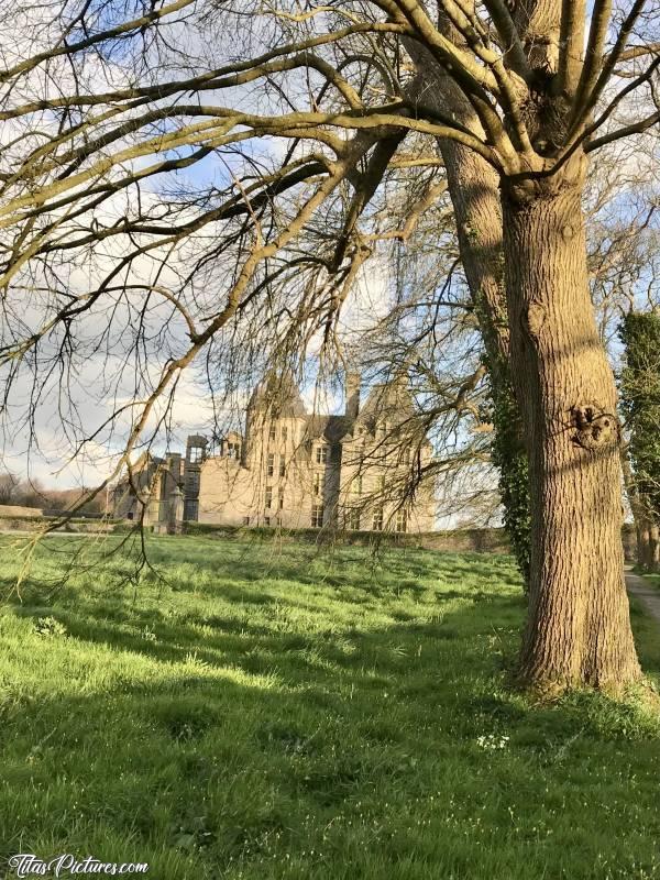 Photo Le Château de Kerjean : La façade arrière du Château de Kerjean se dévoile au travers des vieux arbres du parc … 😍c, Château de Kerjean, Saint-Vougay