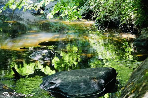 Photo La Sèvre Nantaise : Un beau jeu de lumières avec des ombres, des reflets, de la transparence.. Très relaxant à regarder 😍🥰c, La Sèvre Nantaise, rochers