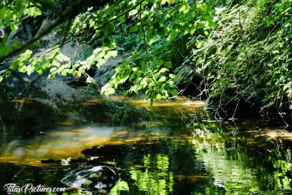 Photo Sèvre Nantaise : Joli jeu d’ombres et de lumières sur la Sèvre Nantaise. J’adore 😍🥰 C’est très apaisant je trouve 🥰c, Sèvre Nantaise, reflets