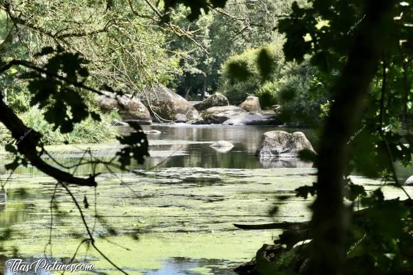 Photo La Sèvre Nantaise : Si vous cherchez bien, il y a une chose sur cette photo, qui n’a pas sa place je trouve.. Mais en même temps, elle permet d’avoir une échelle de grandeur.. Mais qu’est-ce que c’est à votre avis..? 🧐😉😋c, La Sèvre Nantaise, pierres, branches, paillettes vertes