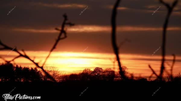 Photo Coucher de soleil : Jeu d’ombres chinoises pour ce beau Coucher de Soleil sur la Campagne vendéenne 😍🥰c, Coucher de soleil, Campagne, branchages