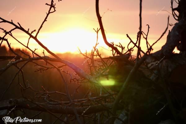 Photo Coucher de soleil : Jeu d’ombres chinoises pour ce beau Coucher de Soleil sur la Campagne vendéenne 😍🥰c, Coucher de soleil, Campagne, branchages