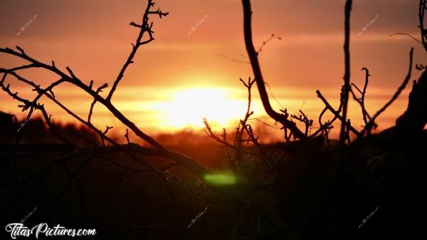 Photo Coucher de soleil : Jeu d’ombres chinoises en 16:9 pour ce beau Coucher de Soleil sur la Campagne vendéenne 😍🥰c, Coucher de soleil, Campagne, branchages