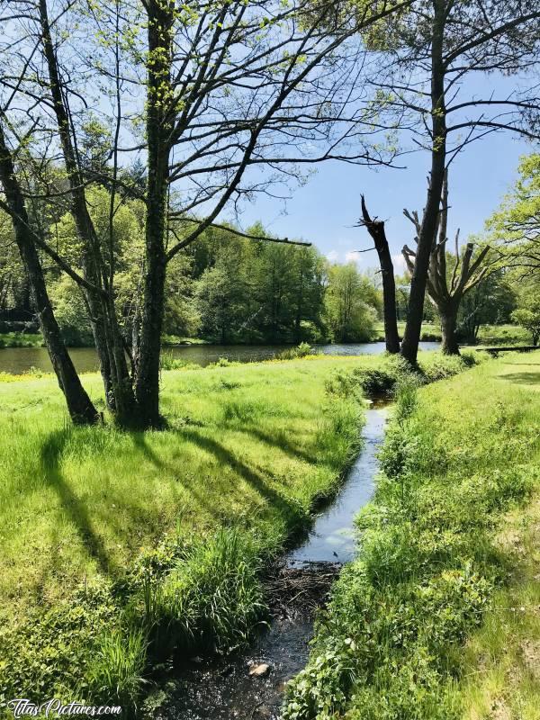 Photo La Bretèche : Petite balade ensoleillée à la Bretèche aux Epesses 😎😍 Pour info, c’est à 2 pas du Puy du Fou 😉c, La Bretèche, étang, ruisseau, arbres