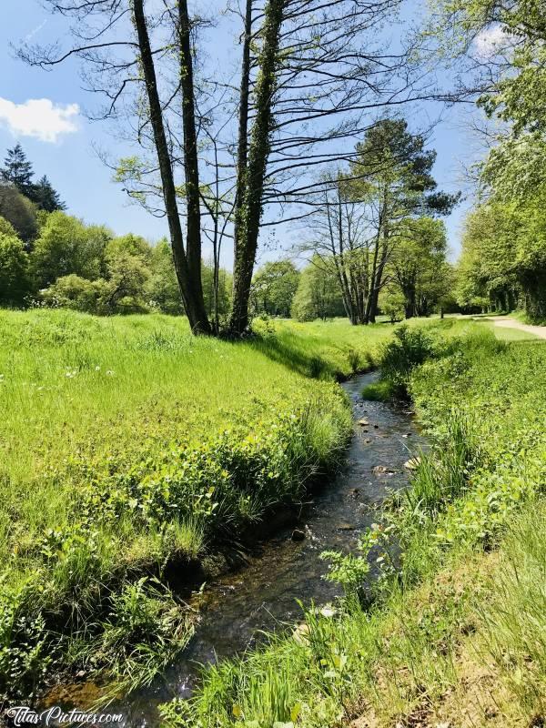 Photo La Bretèche : Petite balade ensoleillée à la Bretèche aux Epesses 😎😍 Pour info, c’est à 2 pas du Puy du Fou 😉c, La Bretèche, ruisseau, arbres