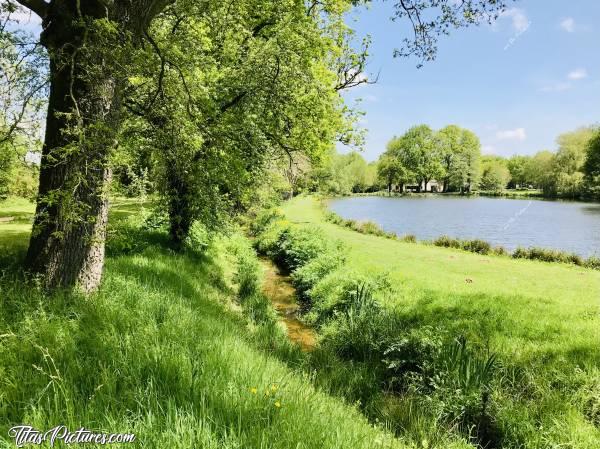 Photo La Bretèche : Petite balade ensoleillée à la Bretèche aux Epesses 😎😍 Au fond, au travers des arbres, on devine un bâtiment qui est le restaurant du camping. Pour info, c’est à 2 pas du Puy du Fou 😉c, La Bretèche, étang, ruisseau, arbres