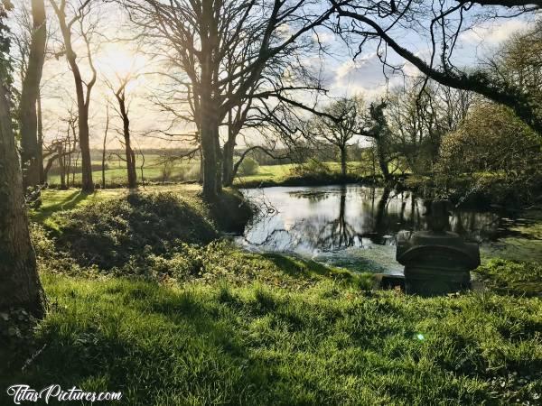 Photo Fontaine ⛲️ : Vue du Bassin de la Fontaine du Château de Kerjean. On devine le haut de la Structure de la Fontaine en bas à droite.c, Fontaine, Château de Kerjean, Saint-Vougay