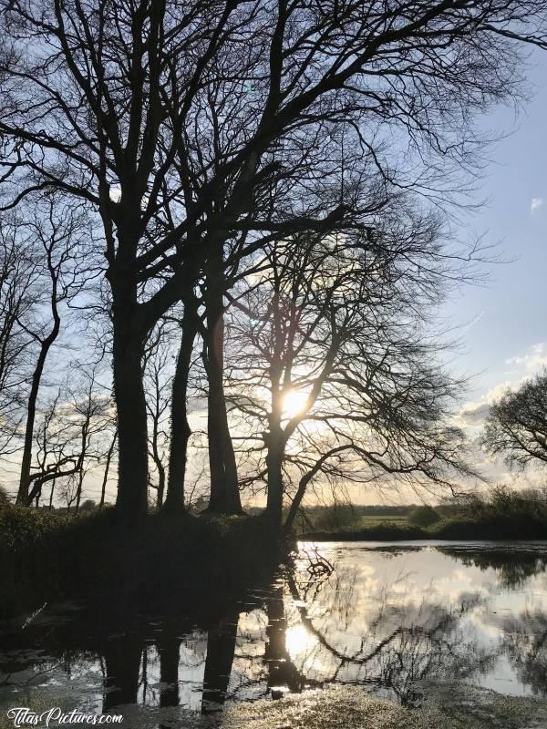 Photo La Fontaine de Kerjean : Coucher de soleil sur l’étang de la Fontaine du Château de Kerjean.c, Fontaine, Château de Kerjean, Saint-Vougay