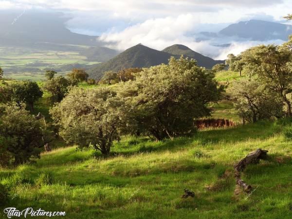 Photo Les Hauteurs du Sud : Les Hauteurs du Sud de l’Ile en fin de journée. Très belles couleurs à ce moment-là. J’ai fait plusieurs belles photos de cette vue. Elle viendront bientôt, promis ????c, Île de la Réunion, Sud, Montagnes, Arbres, Nuages