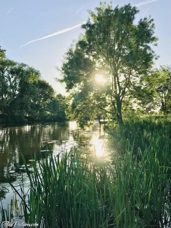 Photo Saint-Amand-sur-Sèvre : Ambiance très reposante en fin de journée sur la Sèvre Nantaise, à Saint-Amand-sur-Sèvre, dans les Deux-Sèvres 😍🥰c, Saint-Amand-sur-Sèvre, Sèvre Nantaise, Deux-Sèvres