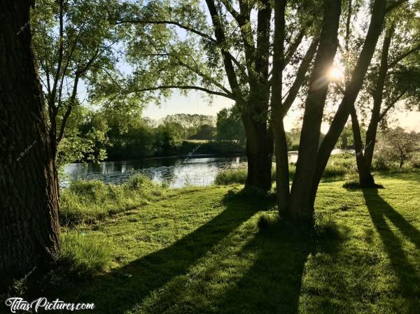 Photo Saint-Amand-sur-Sèvre : Beau jeu d’Ombres et de Lumières avec ces arbres en bord de Sèvre 😍🥰c, Saint-Amand-sur-Sèvre, Sèvre Nantaise, Deux-Sèvres