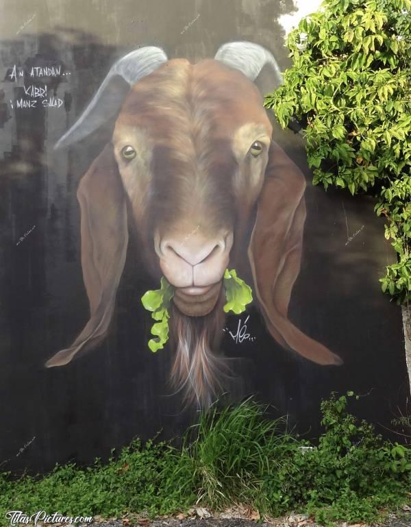 Photo Kabri i manz Salad : Graph magnifique sur le mur d’un Parking à St Pierre. Ne loupez pas le petit commentaire comique en haut à gauche 😉 Il s’agit d’une œuvre de Méo, un artiste réunionnais qui fait de très belles choses 👍🏻😍c, L’Ile de la Réunion, Graffiti, Kabri, Street art, Méo, Méo974