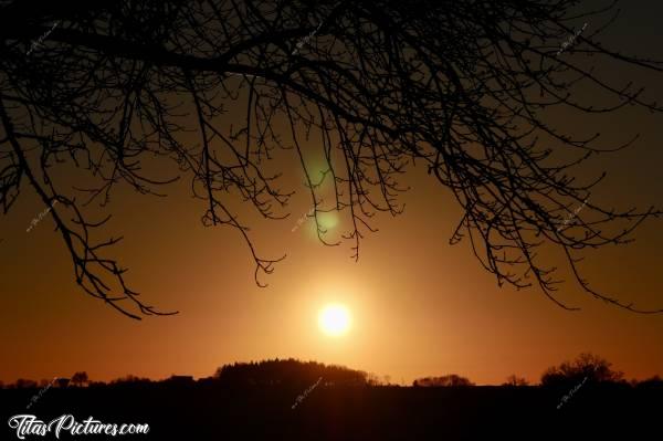 Photo Coucher de soleil : Coucher de soleil sur la campagne vendéenne avec un jeu d’ombres chinoises sur les branches d’un arbre 😍🥰c, Coucher de soleil, Campagne, branches