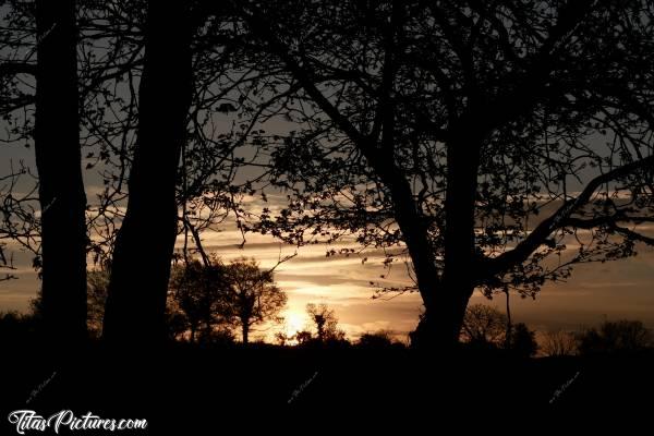 Photo Ciel Lumineux : Mais qu’est-ce que c’est que cette lumière dans le ciel? 🧐
À votre avis? 😋c, Campagne vendéenne, Arbres, Ombres Chinoises