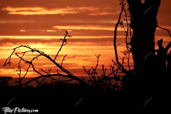 Photo Coucher de soleil : Mon sujet de photo préféré : le Coucher de Soleil 😍🥰
Ici, il s’agit d’un jeu d’Ombres Chinoises sur un tas de branchages à couper. J’adore 🥰c, Coucher de soleil, branchages, campagne