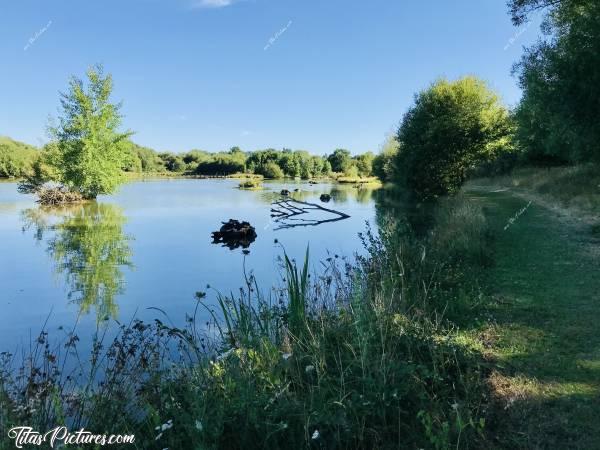 Photo Pescalis : Belle balade ensoleillée à Pescalis , à Moncoutant dans les Deux-Sèvres. 
Ce domaine de 150 ha de nature préservée est dédié au monde de l'eau. Il s’agit d’un centre international nature et pêche dédié aux pêcheurs et à leur famille, pour des séjours pêche à la semaine ou au weekend.c, Pescalis, Moncoutant, Deux-Sèvres