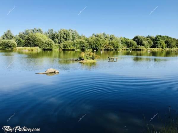 Photo Pescalis : Belle balade ensoleillée à Pescalis , à Moncoutant dans les Deux-Sèvres. 
Ce domaine de 150 ha de nature préservée est dédié au monde de l'eau. Il s’agit d’un centre international nature et pêche dédié aux pêcheurs et à leur famille, pour des séjours pêche à la semaine ou au weekend.c, Pescalis, Moncoutant, Deux-Sèvres