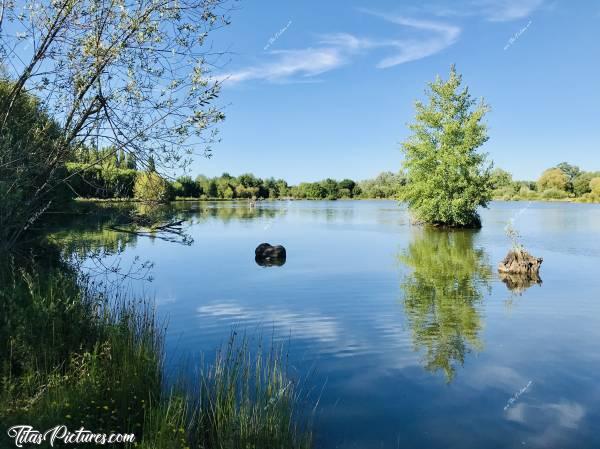 Photo Pescalis : Belle balade ensoleillée à Pescalis , à Moncoutant dans les Deux-Sèvres. 
Ce domaine de 150 ha de nature préservée est dédié au monde de l'eau. Il s’agit d’un centre international nature et pêche dédié aux pêcheurs et à leur famille, pour des séjours pêche à la semaine ou au weekend.c, Pescalis, Moncoutant, Deux-Sèvres