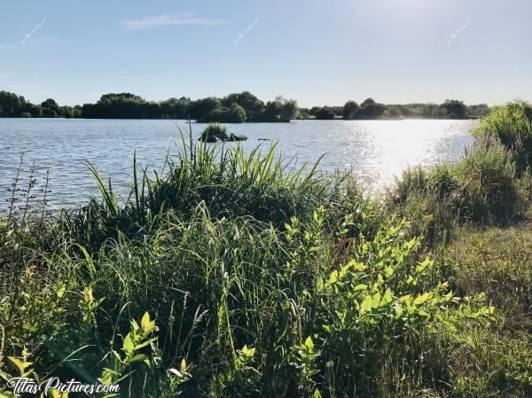 Photo Pescalis : Belle balade ensoleillée à Pescalis , à Moncoutant dans les Deux-Sèvres. 
Ce domaine de 150 ha de nature préservée est dédié au monde de l'eau. Il s’agit d’un centre international nature et pêche dédié aux pêcheurs et à leur famille, pour des séjours pêche à la semaine ou au weekend.c, Pescalis, Moncoutant, Deux-Sèvres