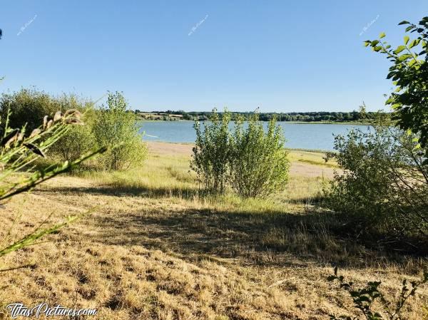 Photo Lac du Verdon : Belle balade de fin de journée au Lac du Verdon, entre Maulévrier et La Tessoualle. Il faisait encore très chaud à cette heure là et la lumière était vraiment très belle 😍😎🥰c, Lac du Verdon, berge, buissons