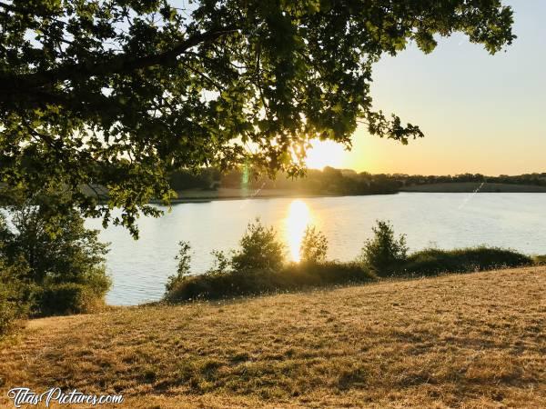 Photo La Retenue de Rochereau : Petite balade du soir à La Retenue de Rochereau, à Monsireigne. L’herbe est bien sèche. Pas une touche de Vert😧
Encore un Eté bien sec en Vendée 😰
Point positif: ça donne de belles couleurs en photos 🤗😍c, Retenue de Rochereau, Monsireigne