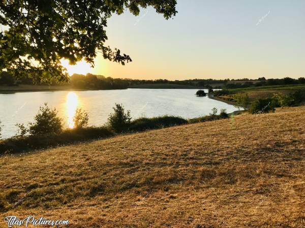 Photo La Retenue de Rochereau : Petite balade du soir à La Retenue de Rochereau, à Monsireigne. L’herbe est bien sèche. Pas une touche de Vert😧
Encore un Eté bien sec en Vendée 😰
Point positif: ça donne de belles couleurs en photos 🤗😍c, Retenue de Rochereau, Monsireigne