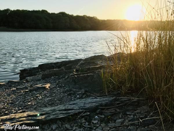 Photo La Retenue de Rochereau : Coucher de soleil sur les herbes sèches à la Retenue de Rochereau. Toutes ces roches sont habituellement recouvertes d’eau. Ça fait beaucoup d’eau de manquante 😥c, Retenue de Rochereau, Monsireigne