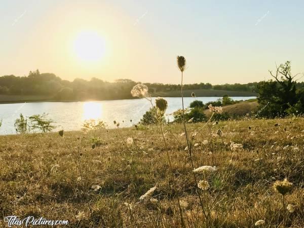 Photo La Retenue de Rochereau : Belles couleurs de fin de journée sur l’herbe sèche, à la Retenue de Rochereau 😍😎c, Retenue de Rochereau, Monsireigne