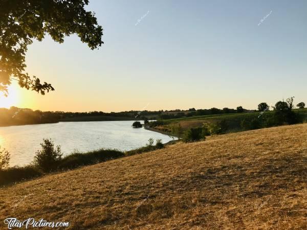 Photo La Retenue de Rochereau : Petite balade du soir à La Retenue de Rochereau, à Monsireigne. L’herbe est bien sèche. Pas une touche de Vert😧
Encore un Eté bien sec en Vendée 😰
Point positif: ça donne de belles couleurs en photos 🤗😍c, Retenue de Rochereau, Monsireigne