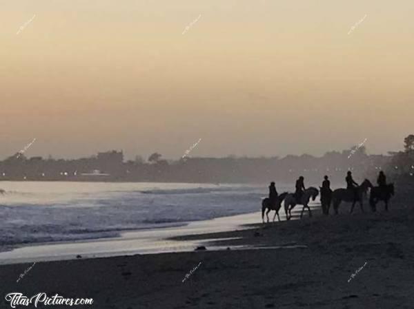 Photo Chevaux en ombres chinoises : Chevaux en ombres chinoises sur la plage de la Baule, peu de temps après que le soleil ait disparu..c, Mer, Chevaux, Coucher de soleil