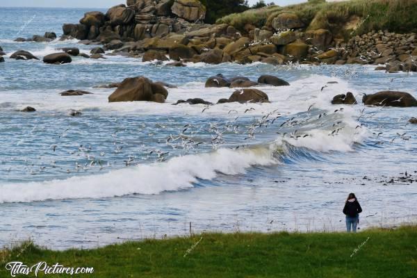 Photo Plage de Kerfissien : Quelles belles vagues à Kerfissien ce jour-là 😍 Et il devait y avoir pleins de poissons aussi pour attirer autant de mouettes 🤔😅c, Kerfissien, mer, rochers, mouettes