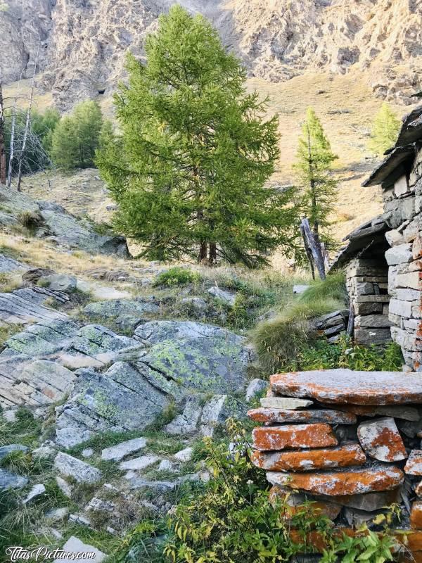 Photo Grand Paradis : Belle randonnée dans le Parc national du Grand Paradis, côté Italie. Ça se situe dans la Vallée d’Aoste.
Sur cette photo, il y a un animal sauvage… Mais où et quoi comme animal ? 🤔😋c, Vallée d’Aoste, Grand Paradis, Les Alpes italiennes