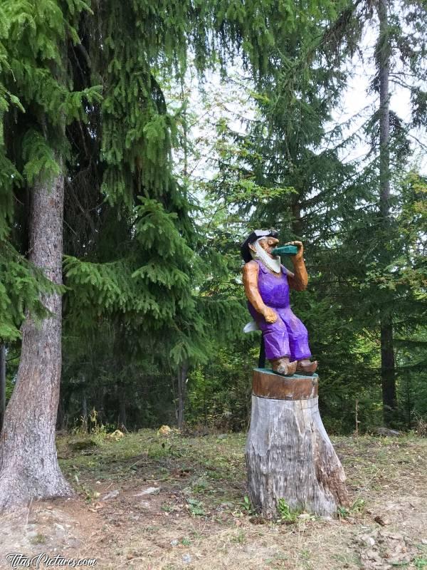 Photo Sculpture en Bois : Quelle drôle de rencontre j’ai eu, en me baladant dans la Forêt communale d’Aime, près de la Plagne 😄😍 Aucun écrito autour, je ne connais donc ni son nom, ni son créateur. Dommage 😢 Peut-être que quelqu’un d’entre vous le reconnaîtra et saura nous renseigner…? 🤗🤞🏻c, Sculpture en Bois, Forêt communale d’Aime