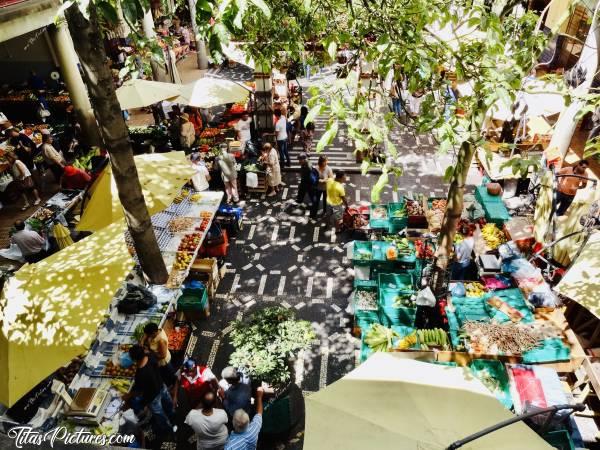 Photo Mercado dos Lavradores : Le plus beau marché que j’ai jamais fait 👍🏻😍 Le lieu déjà est très beau avec ses mosaïques, ses beaux arbres, ses balcons .. Et que de belles couleurs avec toutes ces variétés de fruits et légumes 👍🏻😍 Et chose très originale, il y a un étage qui entoure la place principale du marché. C’est pourquoi j’ai pu prendre cette photo 🤗😍c, Marché de Funchal, Mercado dos Lavradores